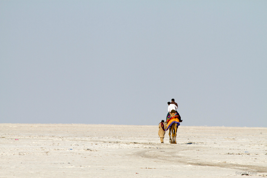 White Desert Of Kutch